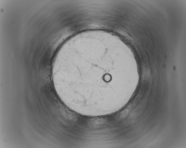 X0000072551314200608041638