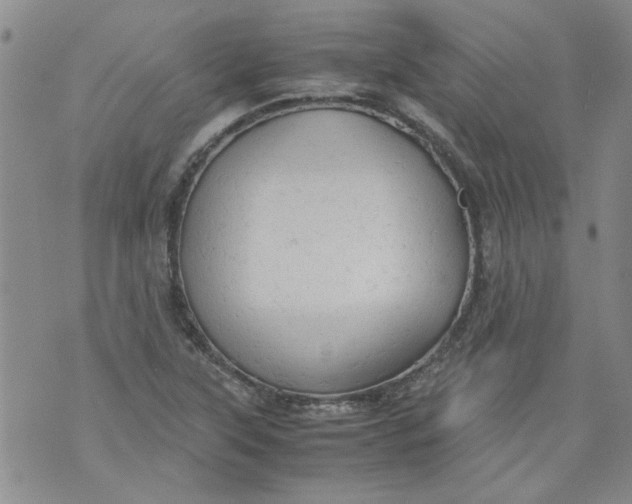 X0000072551315200608041638