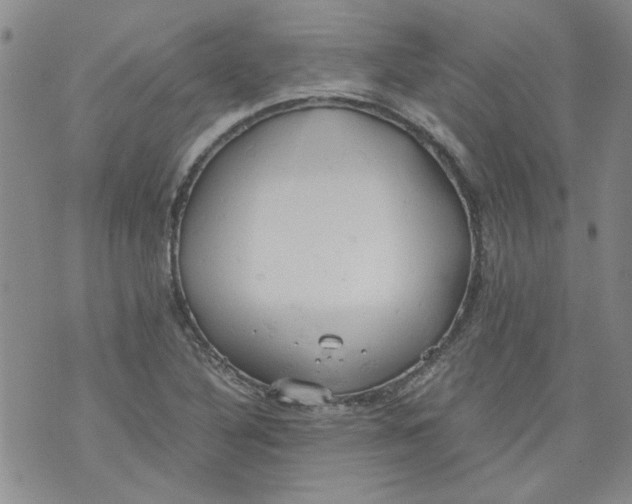 X0000072551316200608041638