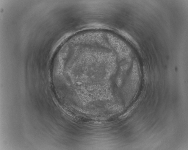 X0000072551318200608041638