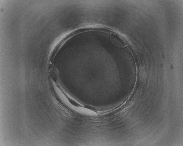 X0000072551319200608041638