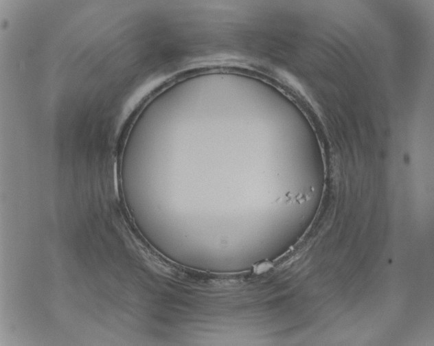 X0000072551320200608041638