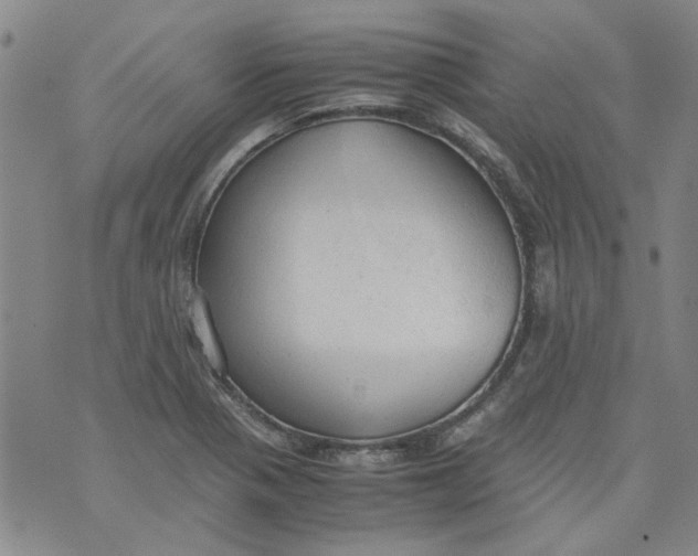 X0000072551321200608041638