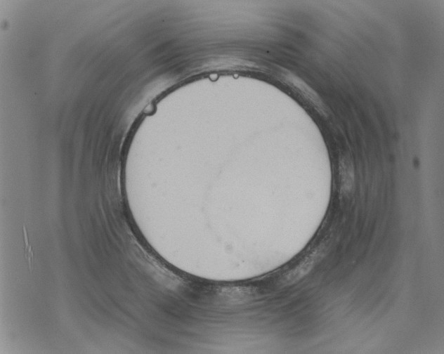 X0000072551322200608041638