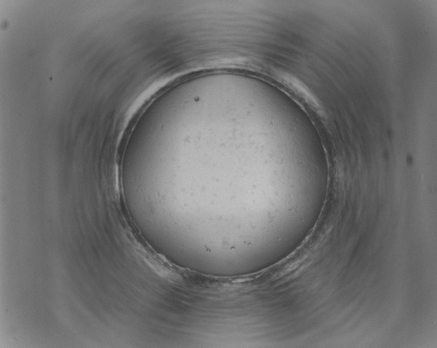 X0000072551324200608041638