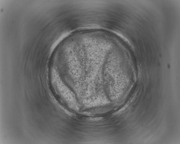 X0000072551325200608041638