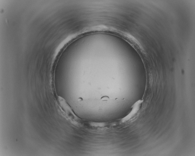 X0000072551326200608041638