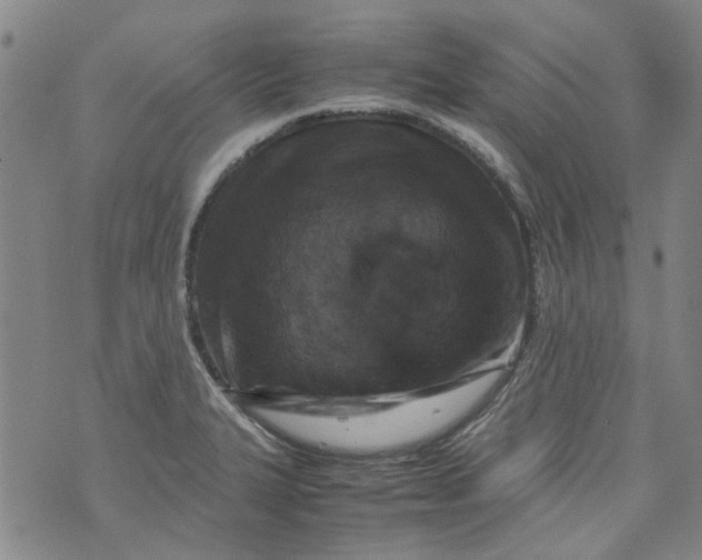 X0000072551327200608041638