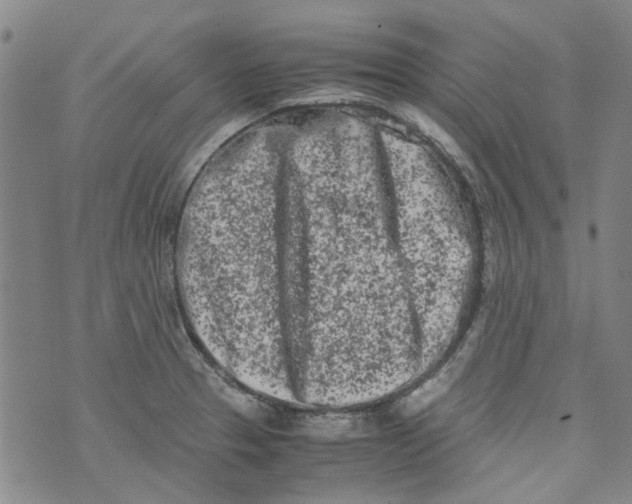 X0000072551329200608041638