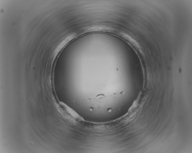 X0000072551330200608041638