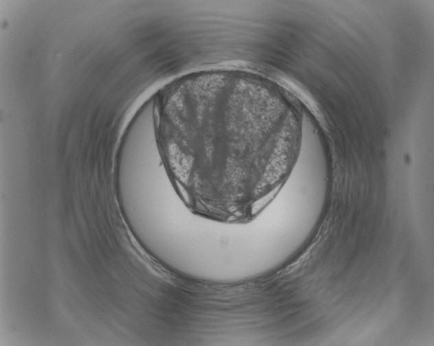 X0000072551332200608041638