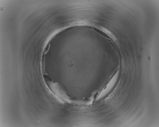 X0000072551334200608041638