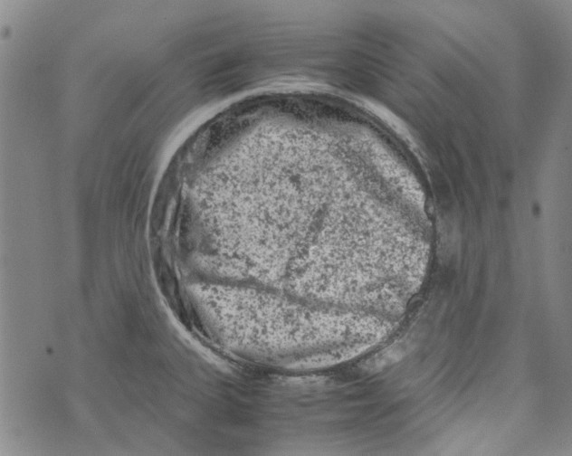 X0000072551335200608041638