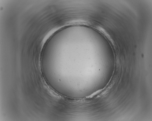 X0000072551336200608041638