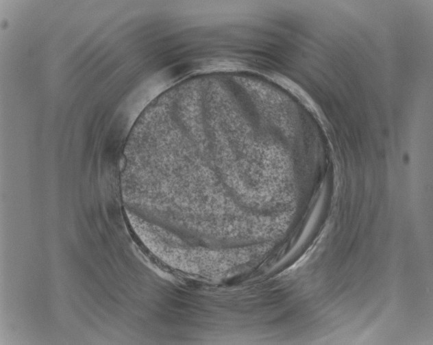 X0000072551337200608041638