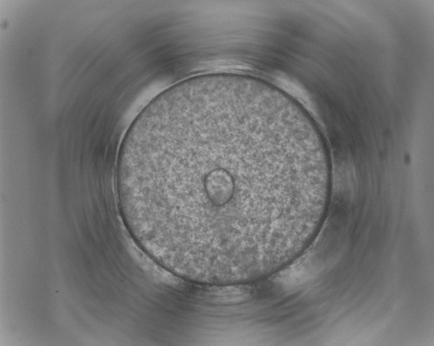 X0000072551338200608041638