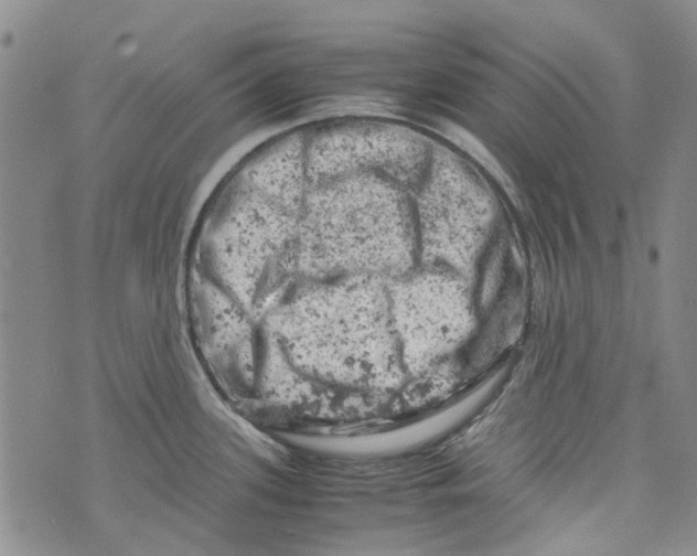 X0000072551339200608041638