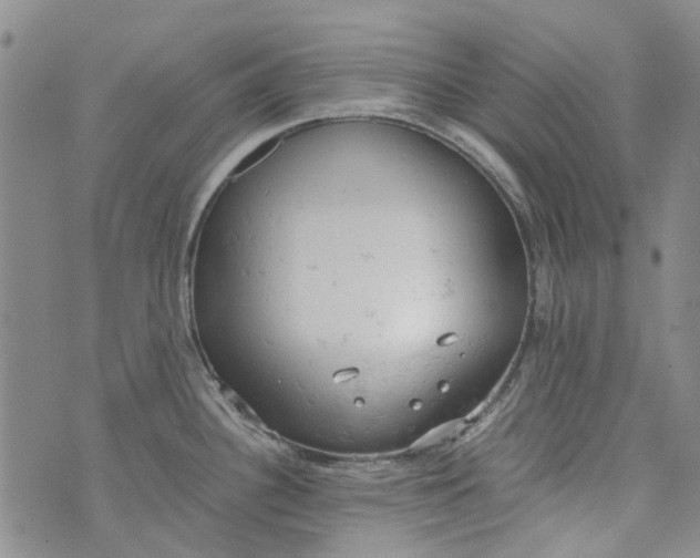 X0000072551340200608041638