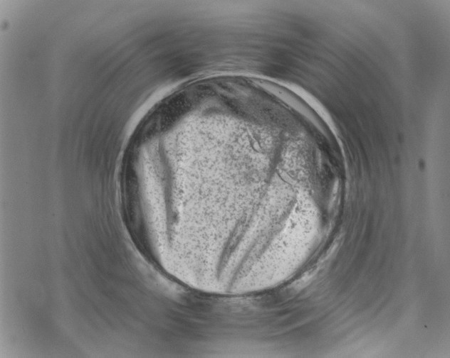 X0000072551341200608041638