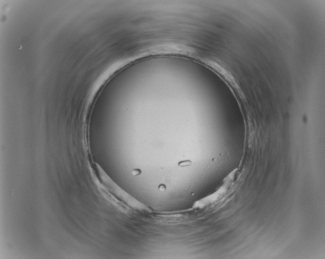 X0000072551342200608041638