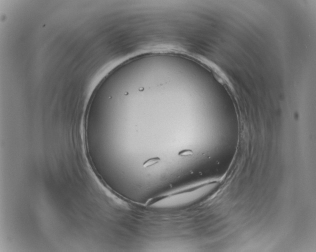 X0000072551343200608041638