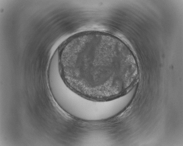 X0000072551344200608041638