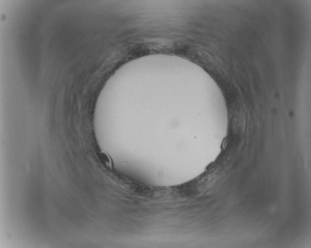 X0000072551345200608041638