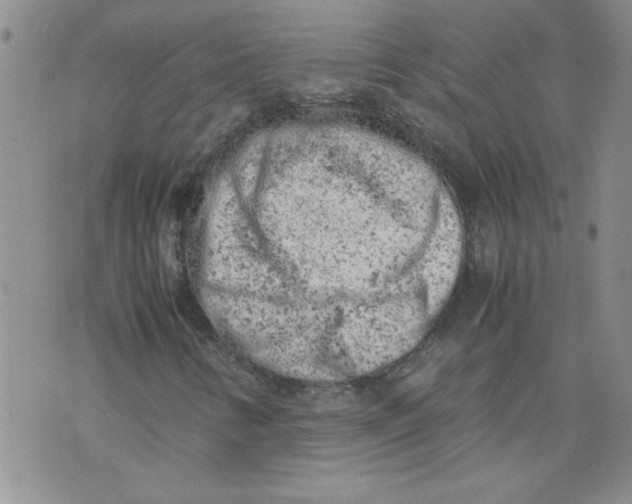 X0000072551346200608041638