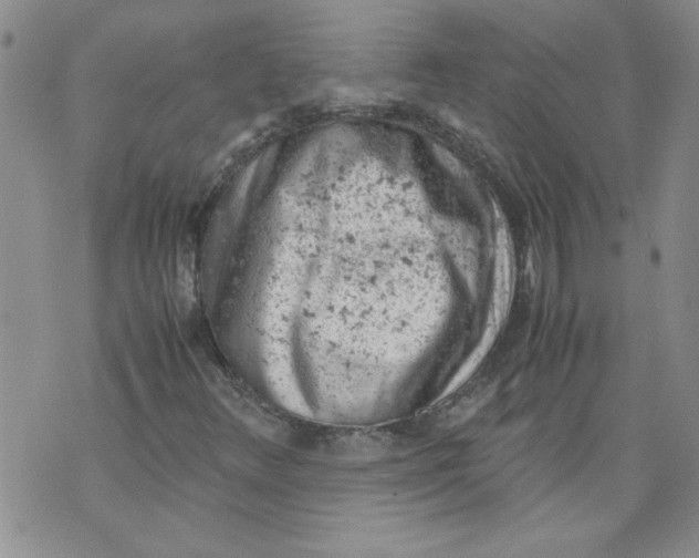 X0000072551348200608041638