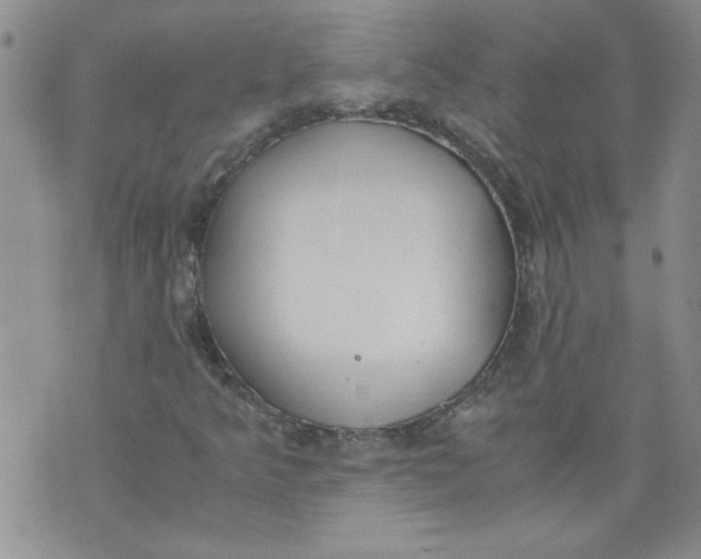 X0000072551349200608041638