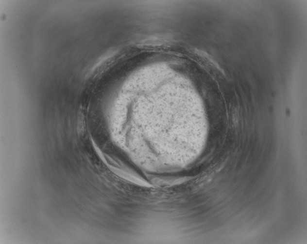 X0000072551350200608041638