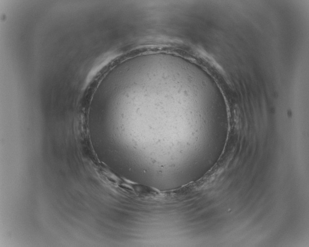 X0000072551352200608041638