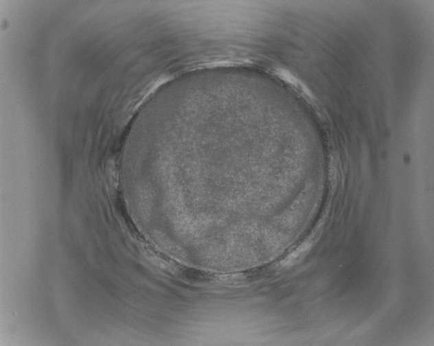 X0000072551353200608041637