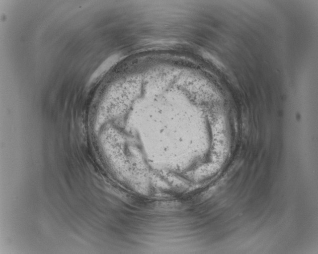 X0000072551354200608041637