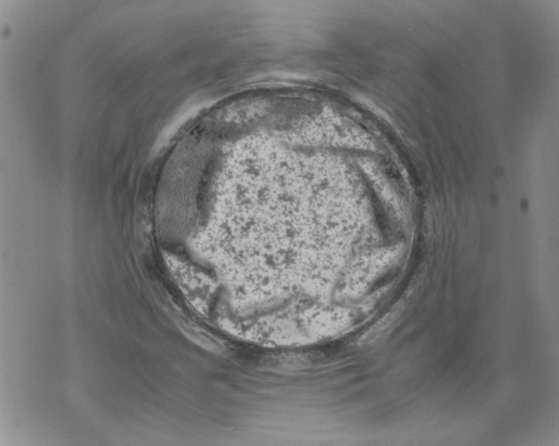 X0000072551355200608041637