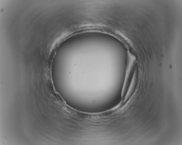 X0000072551357200608041637