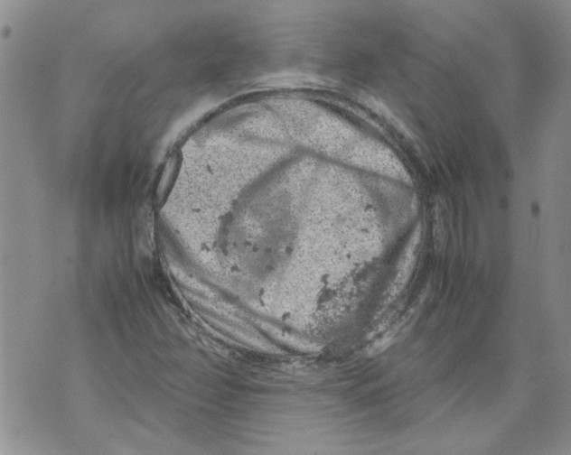 X0000072551358200608041637