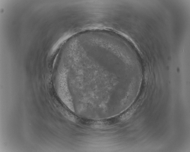 X0000072551359200608041637