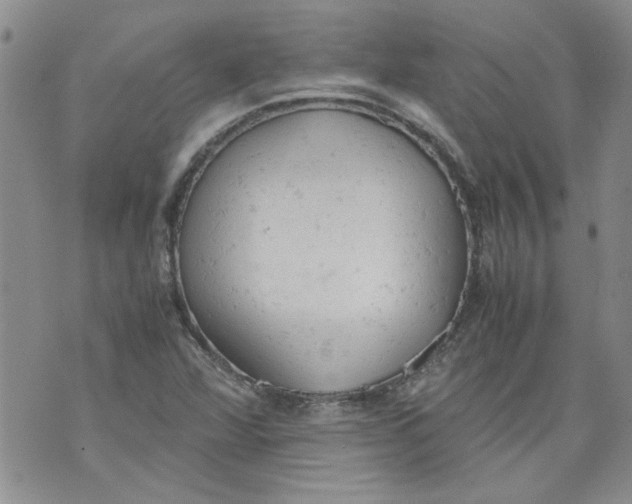 X0000072551360200608041637