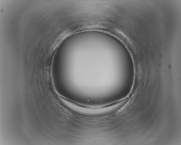 X0000072551361200608041637