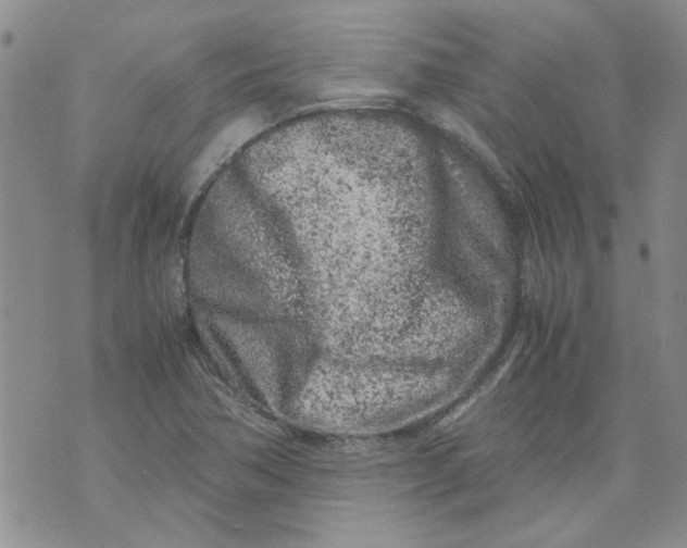 X0000072551362200608041637