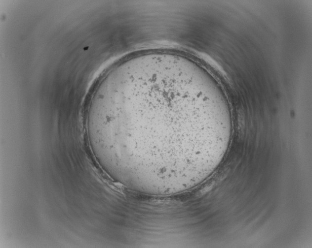 X0000072551364200608041637