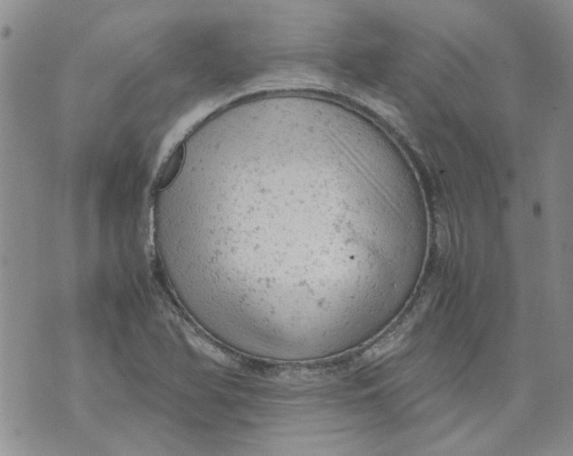 X0000072551366200608041637