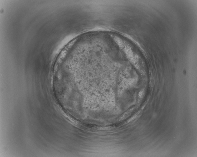 X0000072551367200608041637