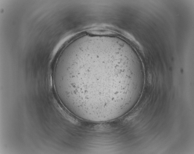 X0000072551368200608041637