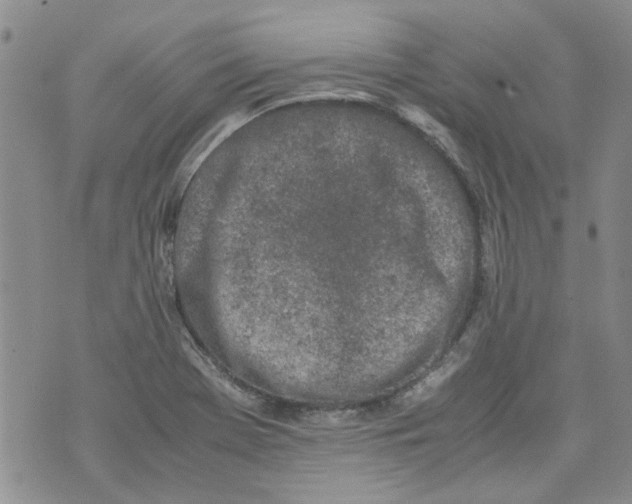 X0000072551369200608041637