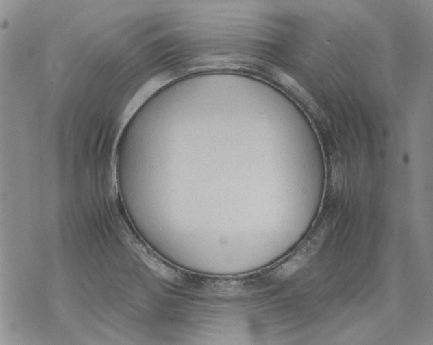 X0000072551370200608041637