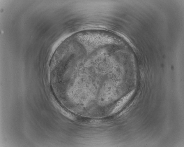 X0000072551371200608041637