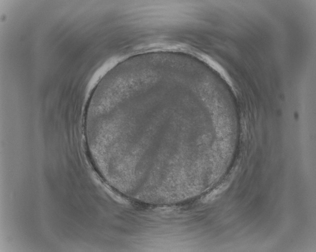 X0000072551373200608041637