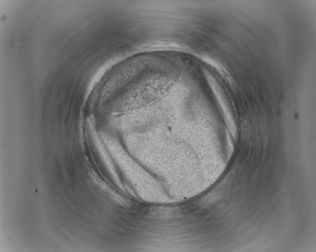 X0000072551374200608041637